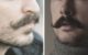 Beardstache
