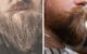 ducktail-beard